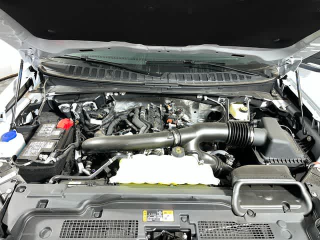 2026 Ford Expedition Platinum®