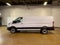 2025 Ford Transit Commercial Cargo Van