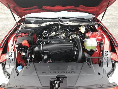 2026 Ford Mustang EcoBoost® Premium Fastback