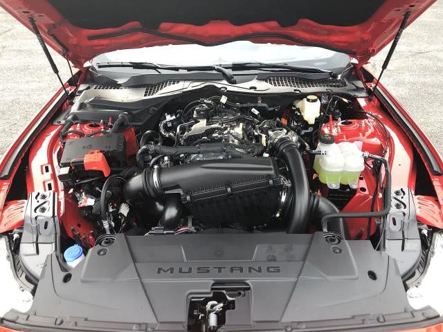 2026 Ford Mustang EcoBoost® Premium Fastback
